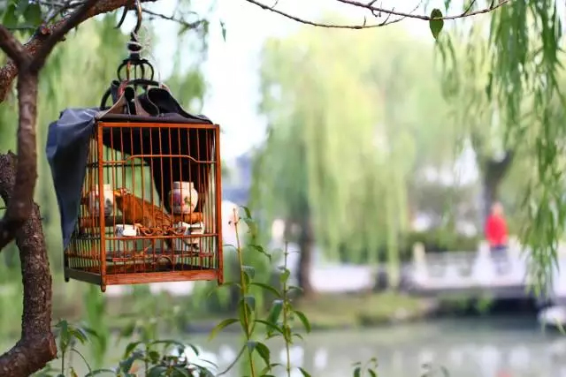 扬州城里的“慢生活”