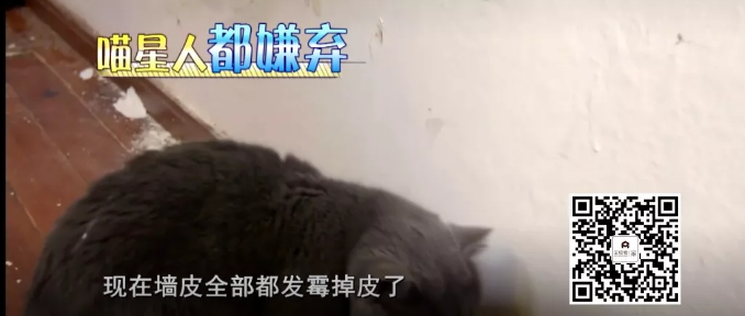 【就匠变新家】时尚女编辑的“摩登现代”轻奢风的多彩空间等你来pick！