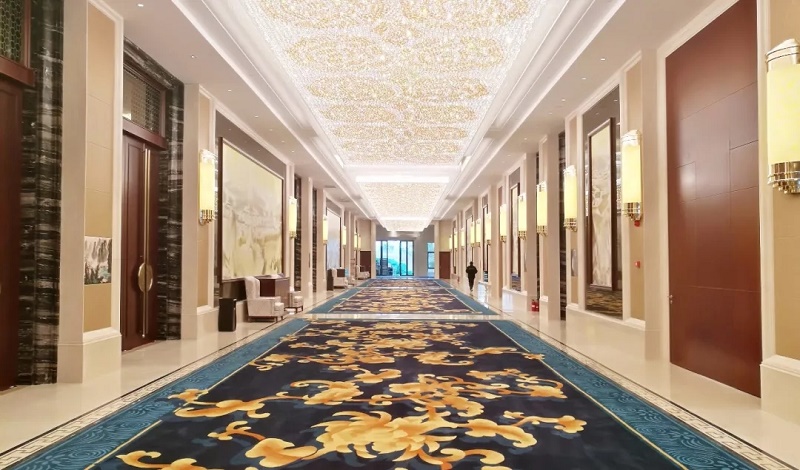 蚌埠龙子湖迎宾馆：感受自然 触摸历史