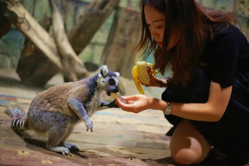 消费升级大时代，金螳螂助力青岛未来广场成为新商业标杆